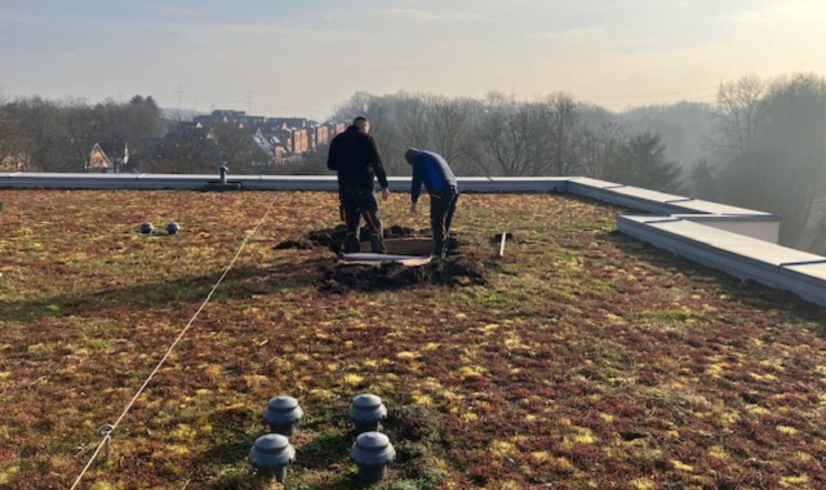 Langzeitprüfung im begrünten Umkehrdach: FIW bestätigt stabile Wärmeleitfähigkeit von 0,032 W/(m·k) bei JACKODUR® EVO