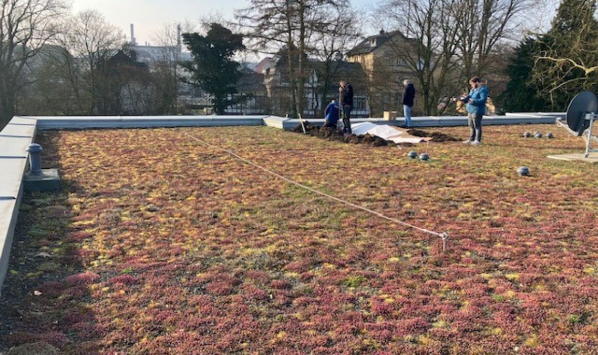 Langzeitprüfung im begrünten Umkehrdach: FIW bestätigt stabile Wärmeleitfähigkeit von 0,032 W/(m·k) bei JACKODUR® EVO